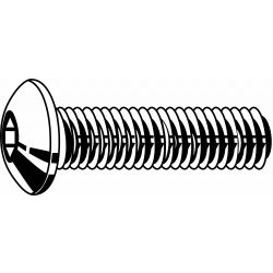 CAPSCREW BUT ST10 UNC 1/4-20X1 .,100/PK