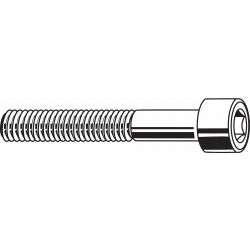 CAPSCREW SOC D912 8.8 ZP M6-1X 30,100/PK