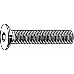 CAPSCREW FLT I10642 SS A2 M6-1 X25,50/PK