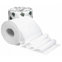 TOILET PAPER,STANDARD,2 PLY,PK48